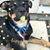 Rebekah Qadadeh's profile image