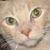 Martha Mercer Whitlock's profile image