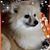 Diane Malone Steelman's profile image