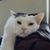 Cynthia Reagan's profile image
