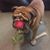 Denise Guion's profile image