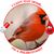 Amy Dunkle's profile image