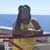 Proph Shlonda McGriff-Johnson's profile image