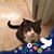 Lynn Hunter's profile image