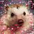 Jen Kavaloski's profile image