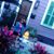 Gina Voorhies's profile image