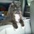 Susan Heald Hosmer's profile image