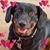 Amy Agin Harwood's profile image