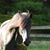 Lynn Lewitz Ritchie's profile image