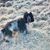 Liane Cook's profile image