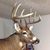 Dave Pfoutz's profile image