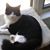 Peggy Wilkinson's profile image