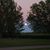 Julene Slama's profile image