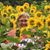Donna Winkler Foley's profile image