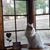 Lori Freeman's profile image