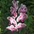 Barb Genrich's profile image
