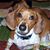 Lynn Morris Widmann's profile image