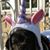 Paul Giacinto's profile image