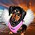 Darlene Hagler's profile image