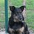 Shelly Anderson Brueggeman's profile image