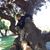 Jayme Loomer's profile image