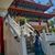 Kimberly Hussaini's profile image