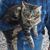 Marilyn L Williams's profile image