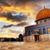 Dina Shaheen's profile image