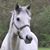 Holly Beaubien VandenBrink's profile image