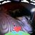 Patricia Mireles's profile image