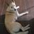 Cindy Jones Brown's profile image