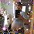 Anissa Aponte Rudbeck's profile image