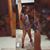 Ayleen Devesa's profile image