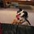 Pamela Paters's profile image