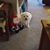 Donna Caley Seiders's profile image