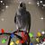 Jenny Tobey's profile image