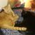 Tina Swords Jones's profile image