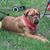 Jeff Lenhart's profile image