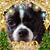Kim Thompson's profile image
