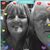 Sherri Cohen-Griffeth's profile image