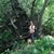Sabine Barcatta's profile image