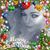 Michelle Pacheco's profile image