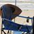 Peggy Hardison's profile image