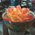 Susan van Spronsen-Hamre's profile image