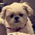 Kathy O'Malley Sargent's profile image