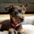 Deborah Malfar's profile image