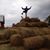 Charliee Jamzensprecher's profile image