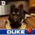 Pamela Smith's profile image