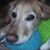 Jennifer Madison Rose-Soule's profile image