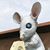 Jill Emmert-Larson's profile image